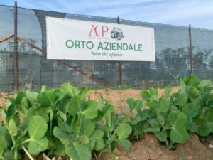 acp orto aziendale